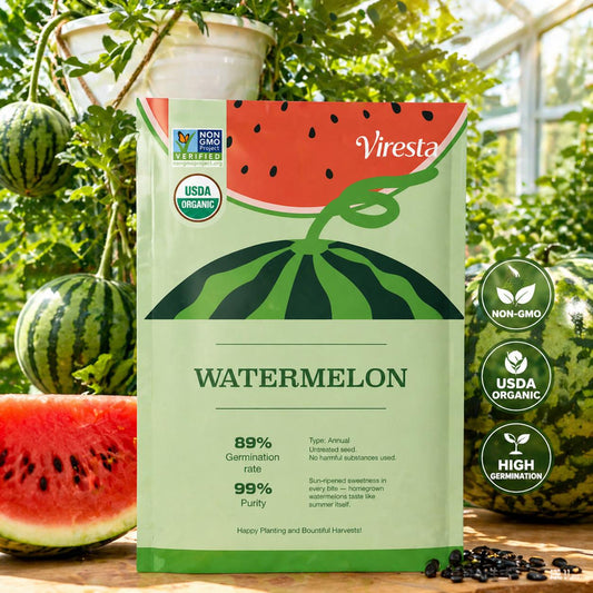 Premium Mini Watermelon Seeds - Extra Sweet Icebox Variety