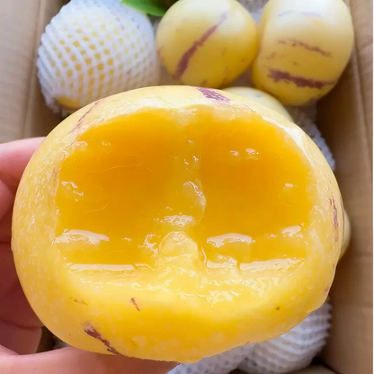 Premium Sweet Pepino Melon Seeds - Rare Exotic Fruit Variety