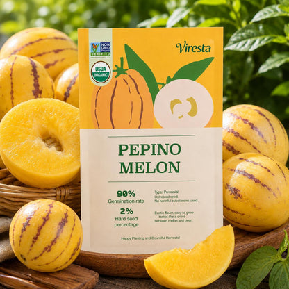 Premium Sweet Pepino Melon Seeds - Rare Exotic Fruit Variety