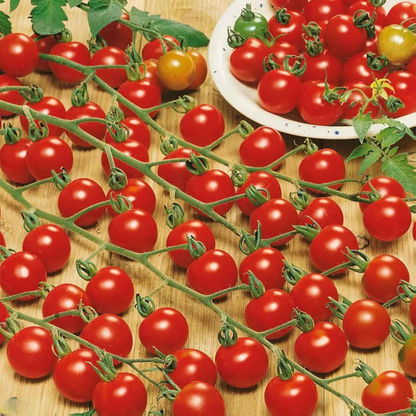 200 Premium Waterfall Tomato Seeds - High-Yield Cascading Heirloom Variety