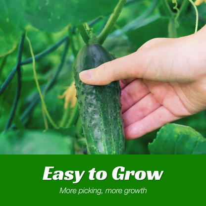 80+Mini Crisp Mini Cucumber Seeds - High-Yield Backyard Vegetable Formula