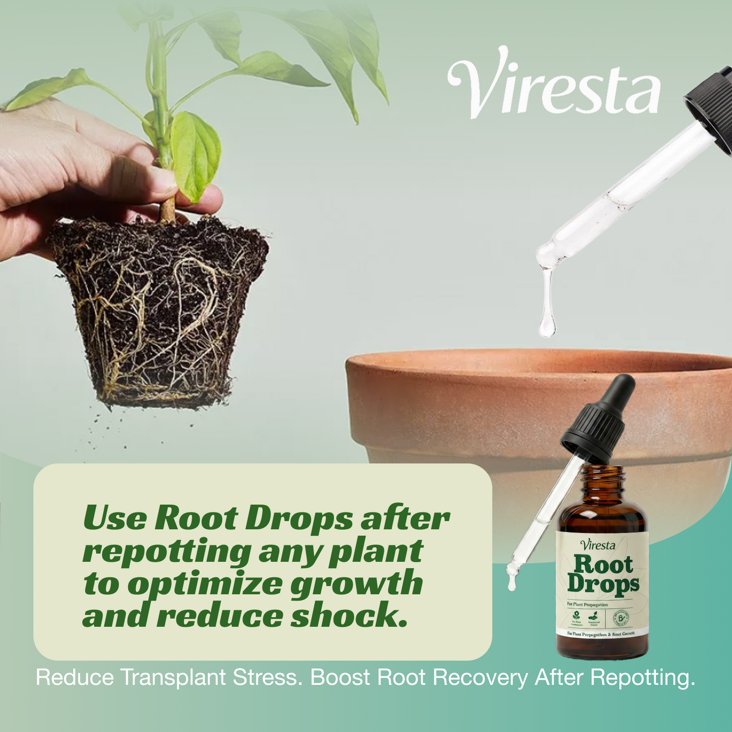VIRESTA Advanced Root Drops - Dual-Action Hormone for Plant Cuttings & Propagation