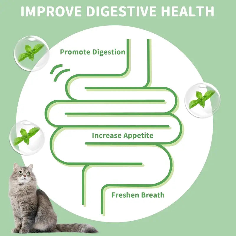 Catnip Toys Balls 4 Pcs, Extra Cat Energy Ball, Edible Kitten Silvervine Toys, Healthy Kitty Teeth Cleaning Dental Chew Toys, Cat Wall Treats
