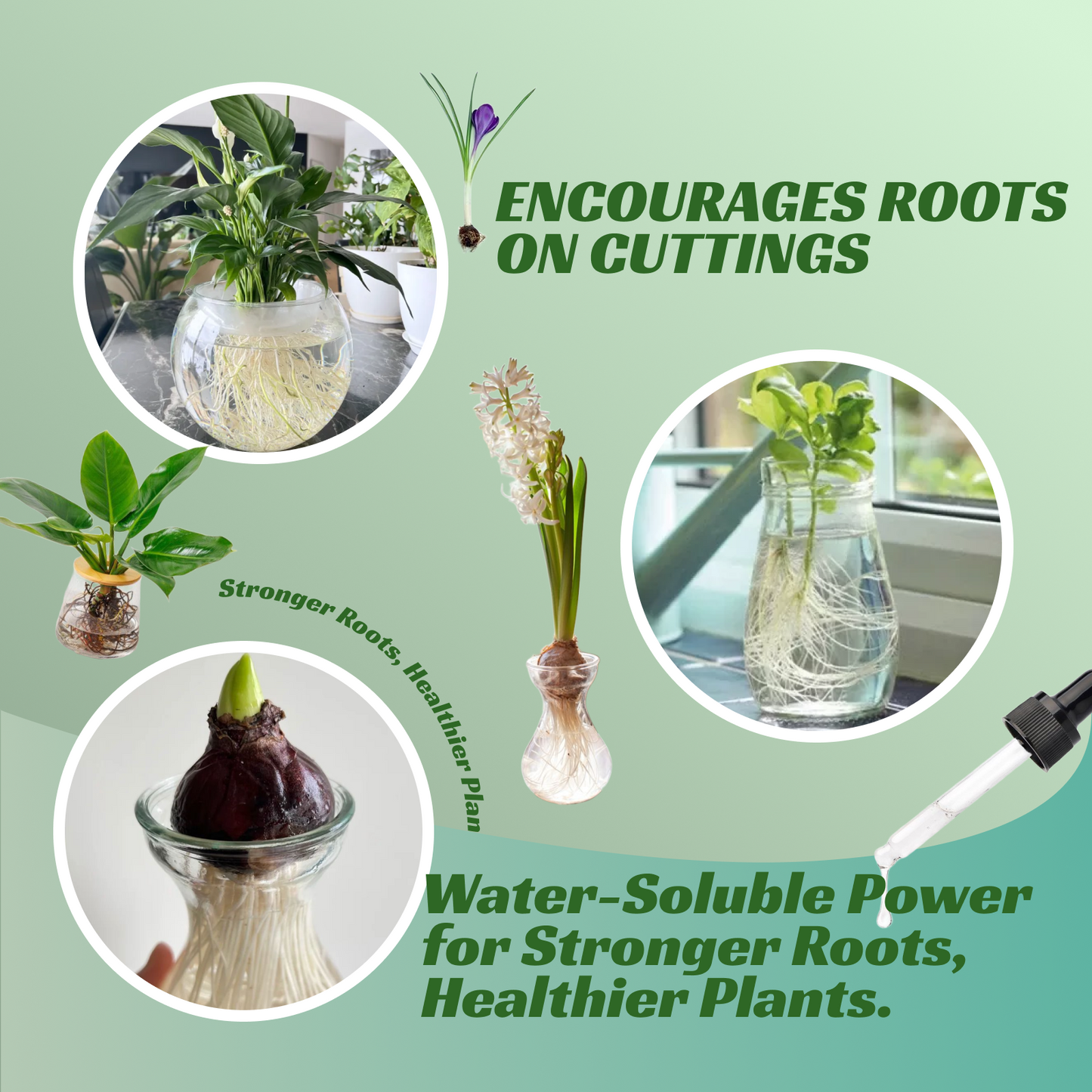 VIRESTA Advanced Root Drops - Dual-Action Hormone for Plant Cuttings & Propagation