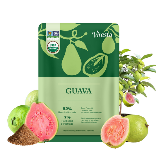 200+ Premium Red Guava Seeds - Sweet Exotic Tropical Fruit Variety