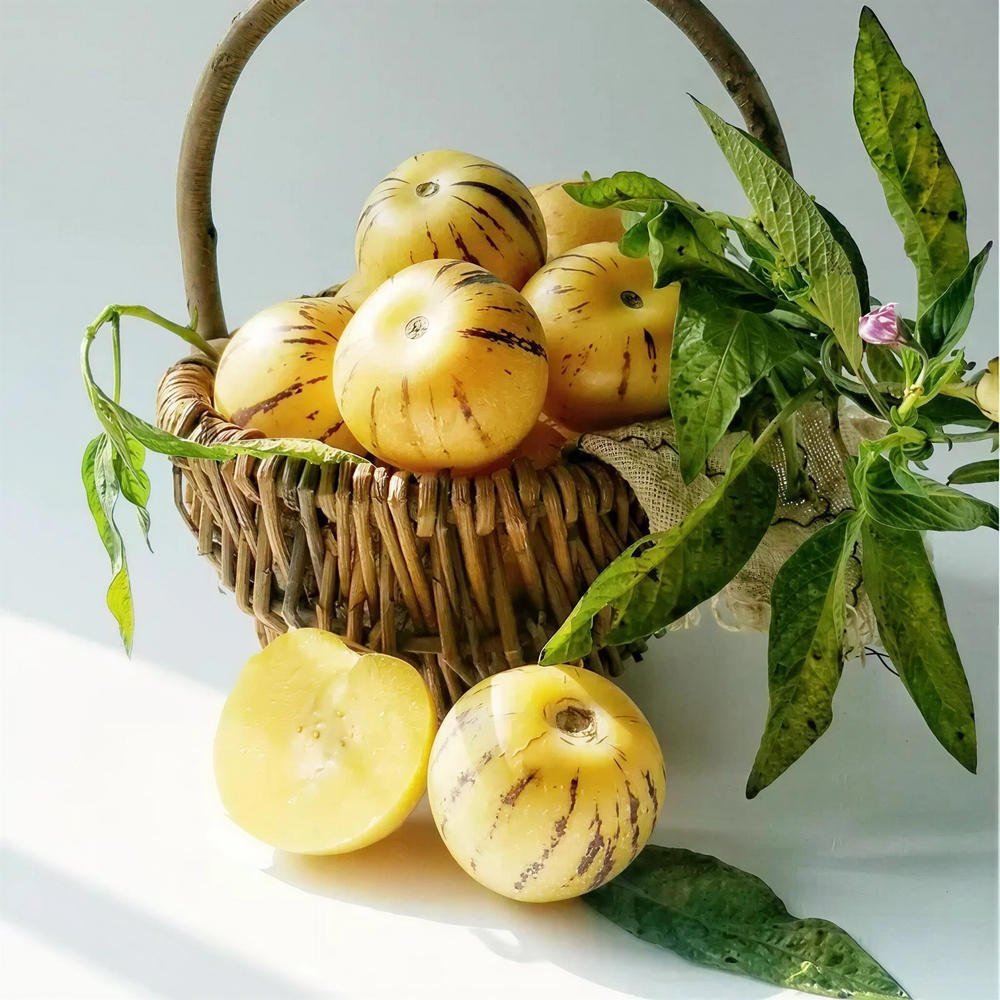 Premium Sweet Pepino Melon Seeds - Rare Exotic Fruit Variety