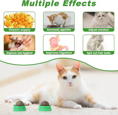 Catnip Toys Balls 4 Pcs, Extra Cat Energy Ball, Edible Kitten Silvervine Toys, Healthy Kitty Teeth Cleaning Dental Chew Toys, Cat Wall Treats