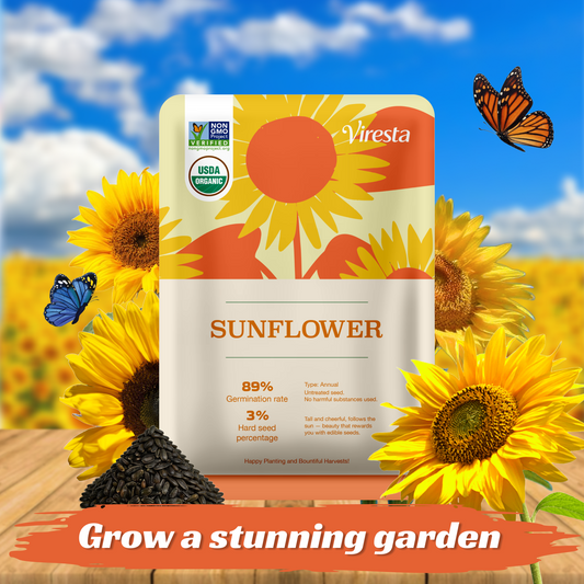 Premium Mammoth Sunflower Seeds - High-Germination Open-Pollinated Mix
