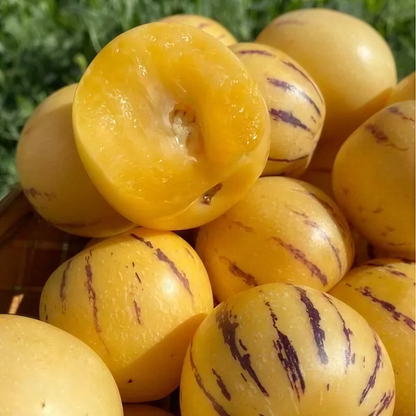 Premium Sweet Pepino Melon Seeds - Rare Exotic Fruit Variety