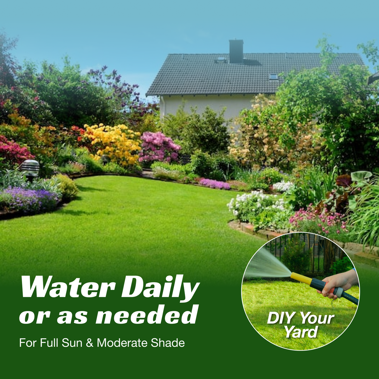 Premium Sun & Shade Lawn Grass Seed - High Germination Precision Mix