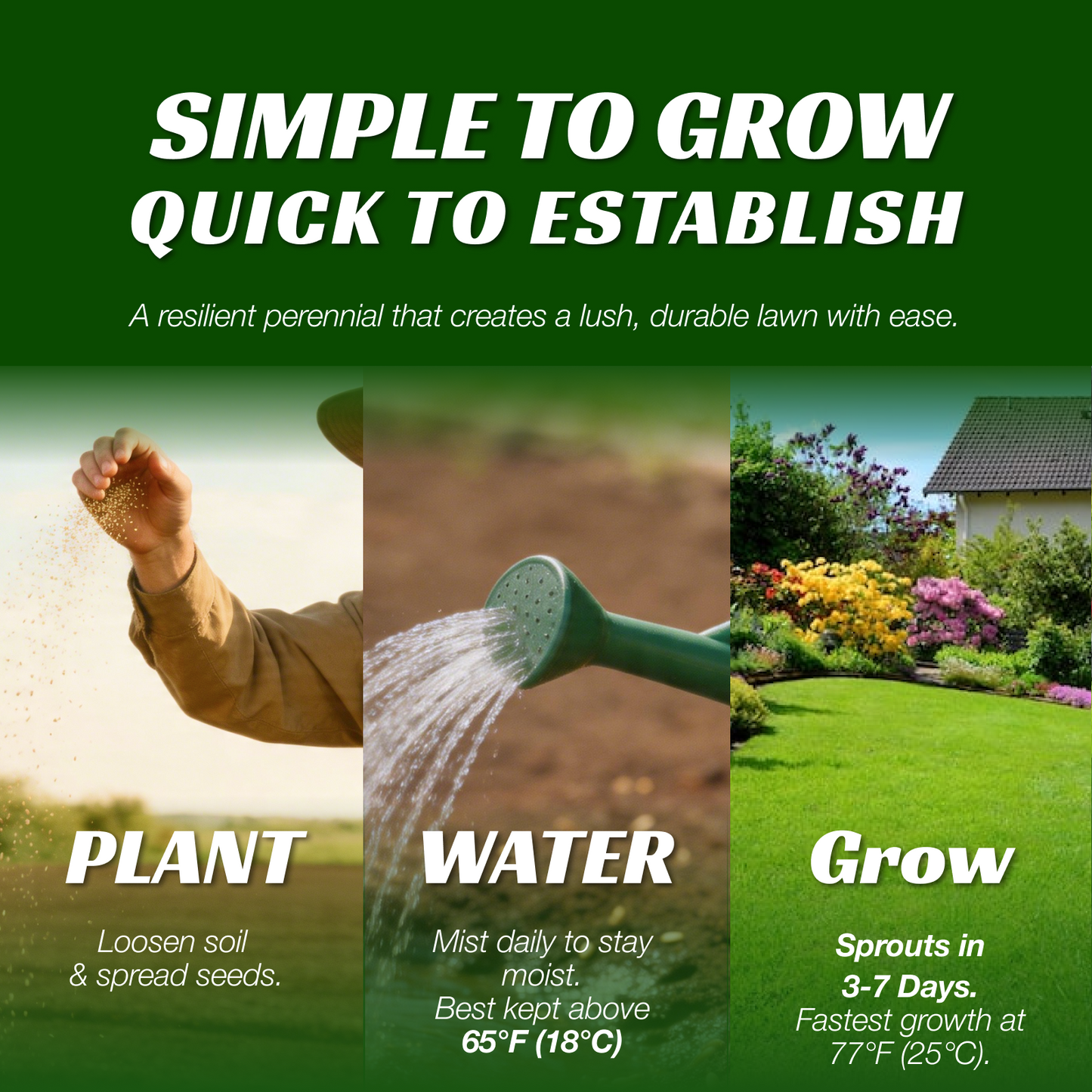 Premium Sun & Shade Lawn Grass Seed - High Germination Precision Mix