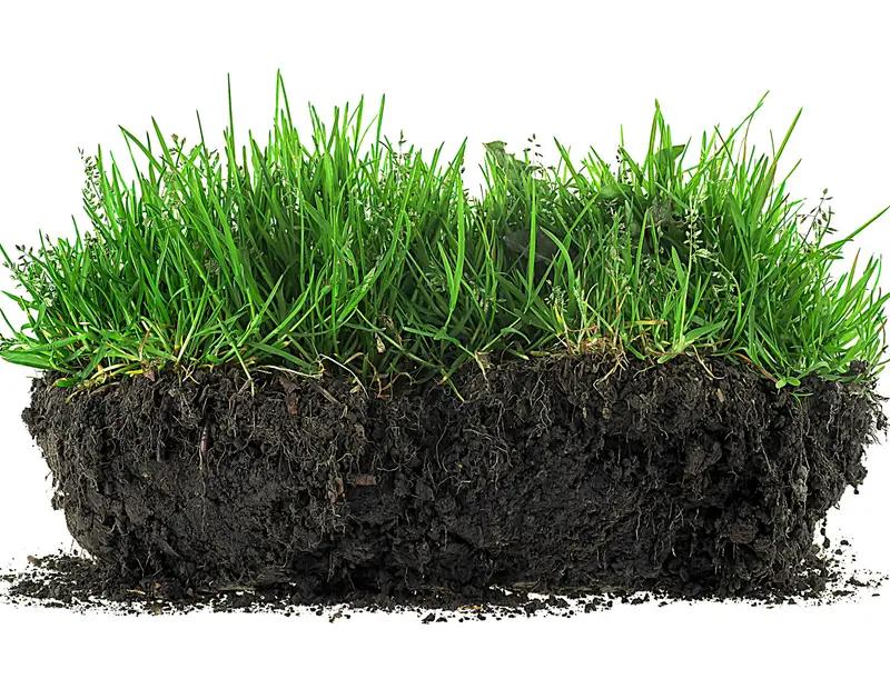 VIRESTA Soil Activator - Concentrated Humic Acid Formula for Lawn & Garden (13.8 oz)