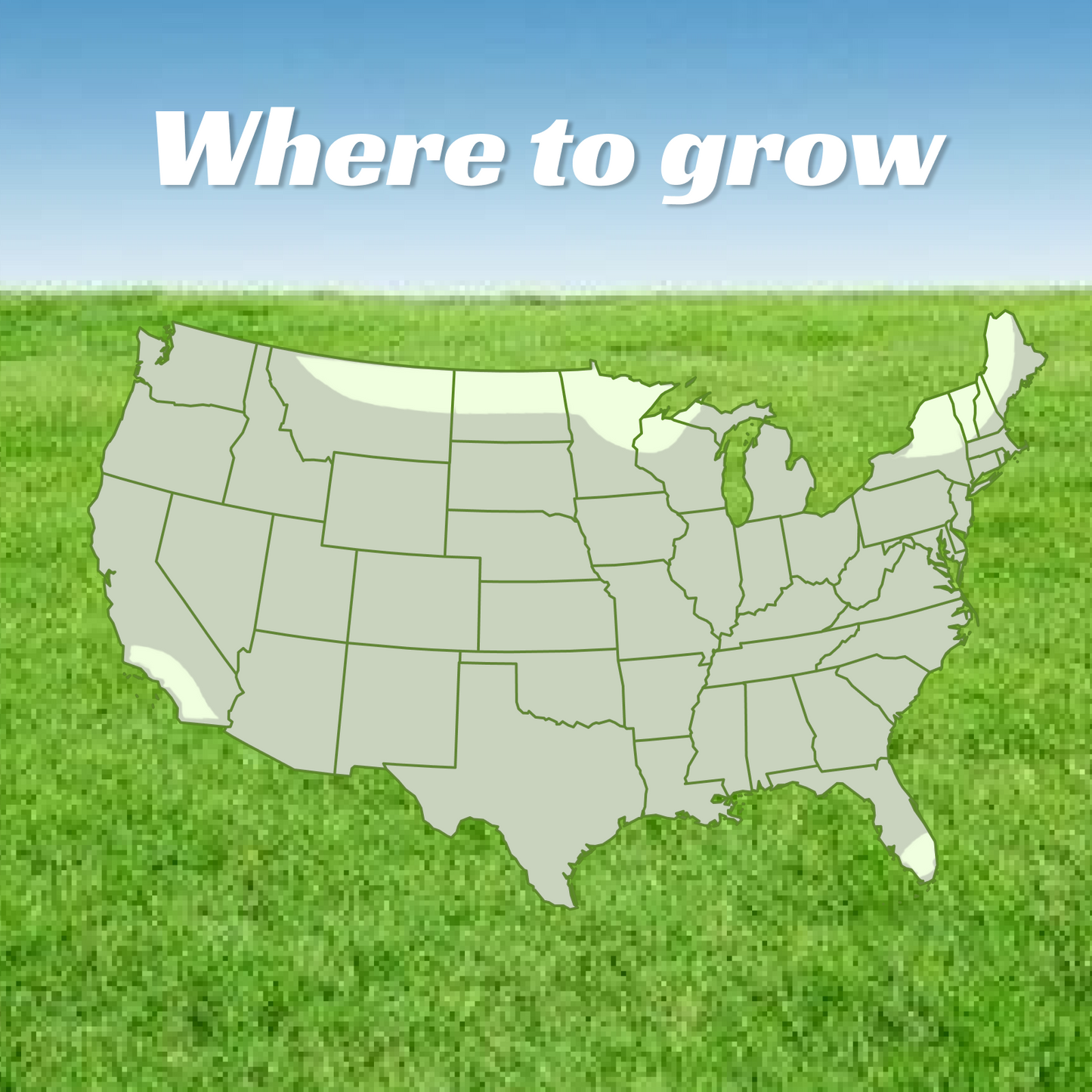 Premium Sun & Shade Lawn Grass Seed - High Germination Precision Mix